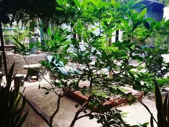 May Kha Lar Guest House Nyaung-U Екстер'єр фото